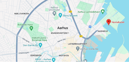 Aarhus viking